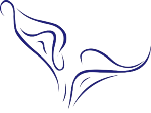 300x224 Free Calla Lily Free Images