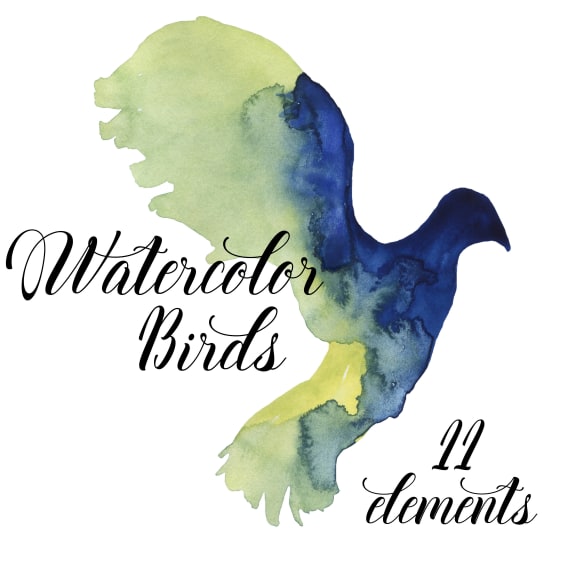 570x564 Birds Clip Art, Watercolor Hand Painted Birds, Painted Birds