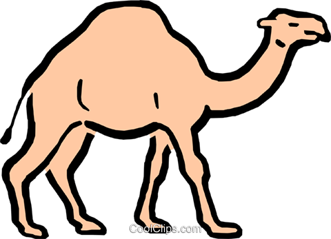 480x347 Cartoon Camel Royalty Free Vector Clip Art Illustration Anim0587