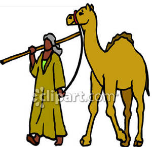 300x290 A Man Walking His Camel