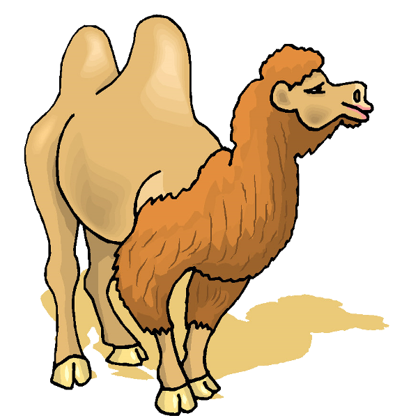 600x600 Cute Camel Clipart