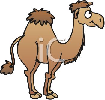350x333 Picture Of A Brown Camel With One Hump In A Vector Clip Art