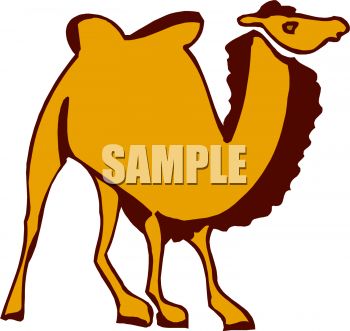 350x331 Picture Of A Cartoon Camel In A Vector Clip Art Illustration