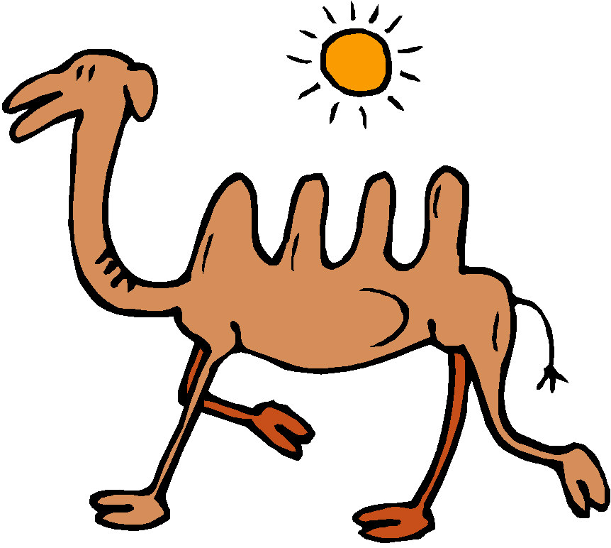 862x772 Camel Cliparts Hip
