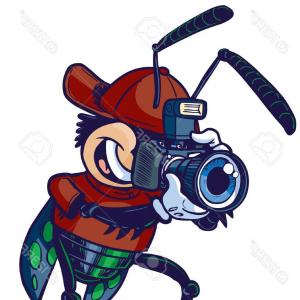 300x300 Old Camera Clipart Design Gm Arenawp