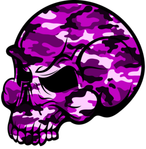 294x300 Skull Pink Camouflage Free Images