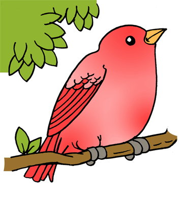 360x440 Robin 1 Coloring Pages For Kids To Color And Print