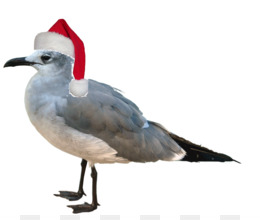 260x220 Crane Png And Psd Free Download