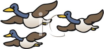 350x167 Flying Goose Formation Clipart