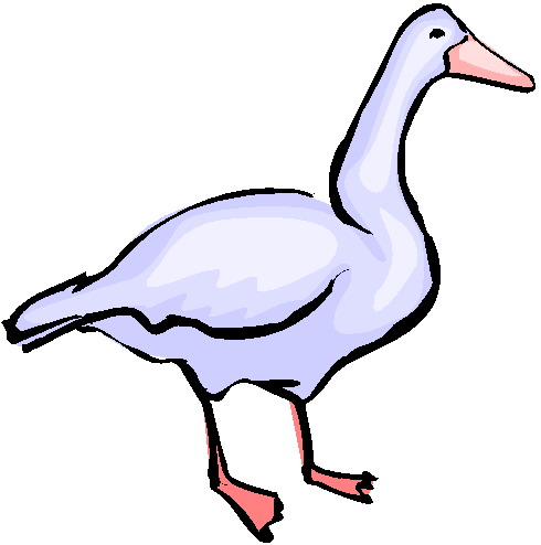 490x494 Goose Clip Art
