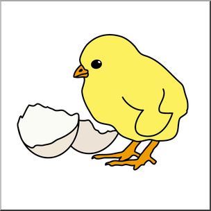304x304 Clip Art Chick Amp Egg Color I Abcteach