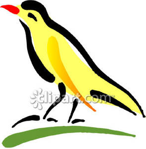 295x300 Yellow Canary