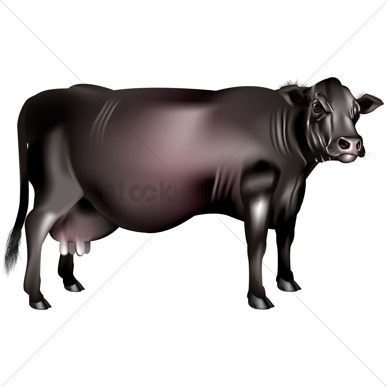 1300x1300 Buffalo Vector Image