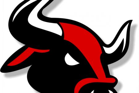 450x300 Bull Clipart Buffalo