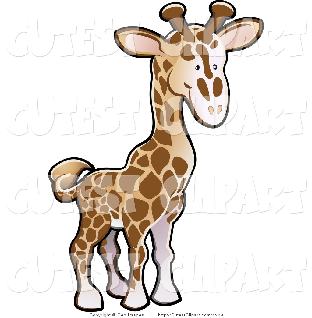 1024x1044 Royalty Free Stock Cute Designs Of Zoo Animals