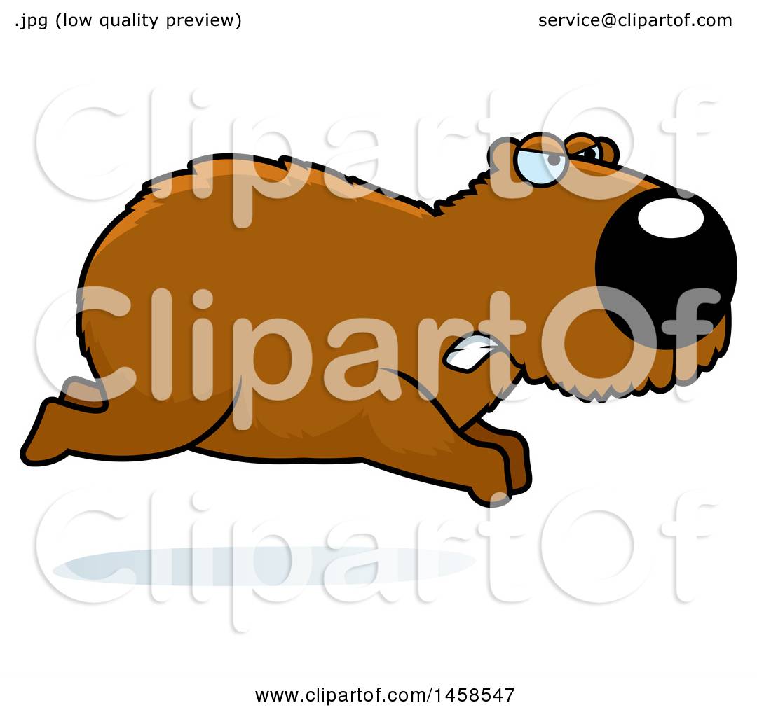 1080x1024 Clipart Of A Mad Capybara Running
