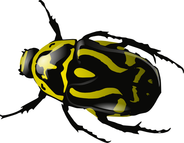 600x468 Insect 25 Vector Clip Art