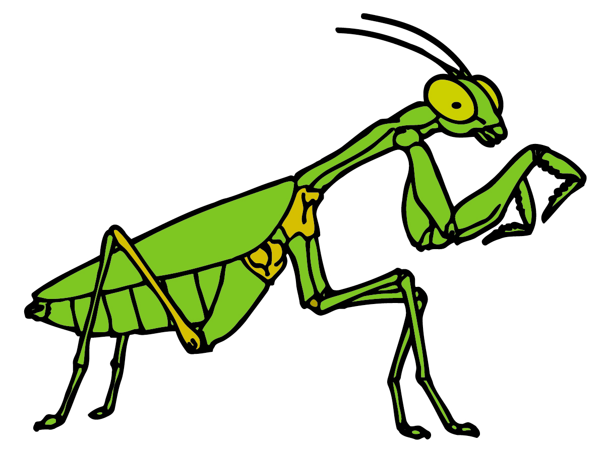 1200x900 Insect Clip Art