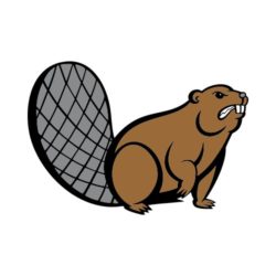 250x250 T Shirt Clip Art For Beavers