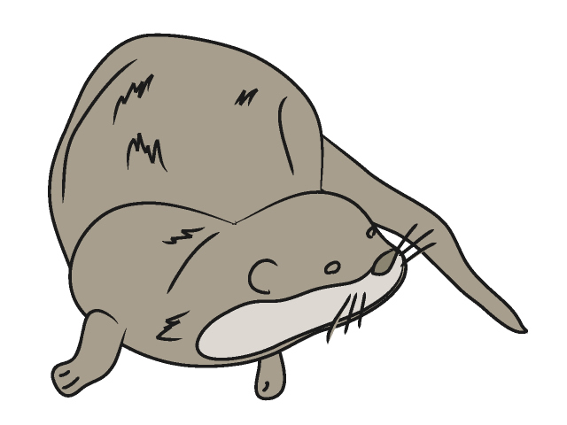 640x480 Top 97 Otter Clip Art