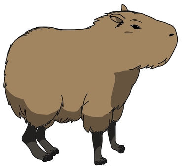 375x340 Capybara, 1