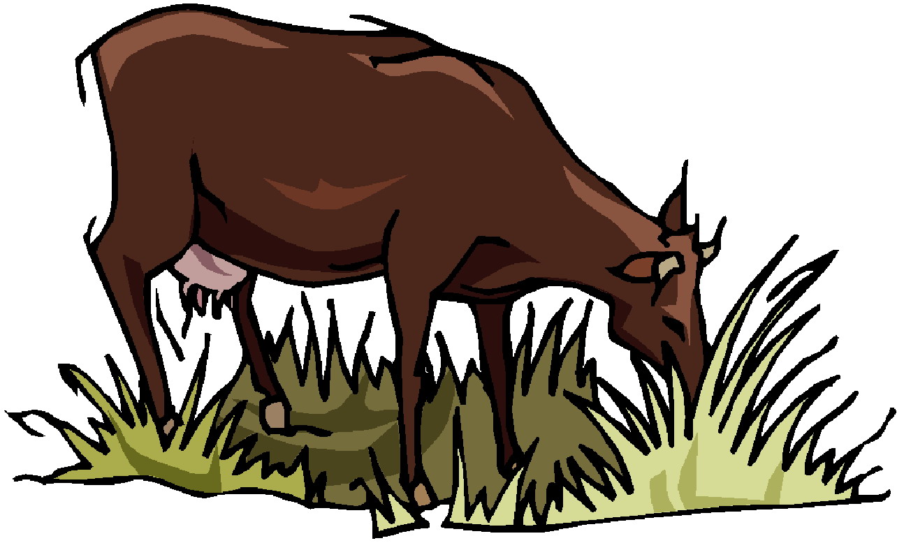 1284x778 Clip Art Farm Cows