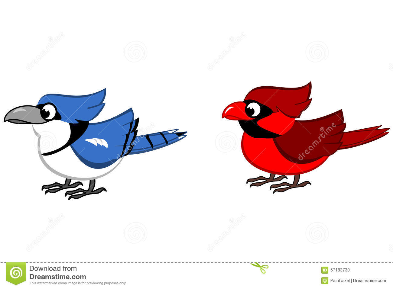 Cardinal Bird Clipart