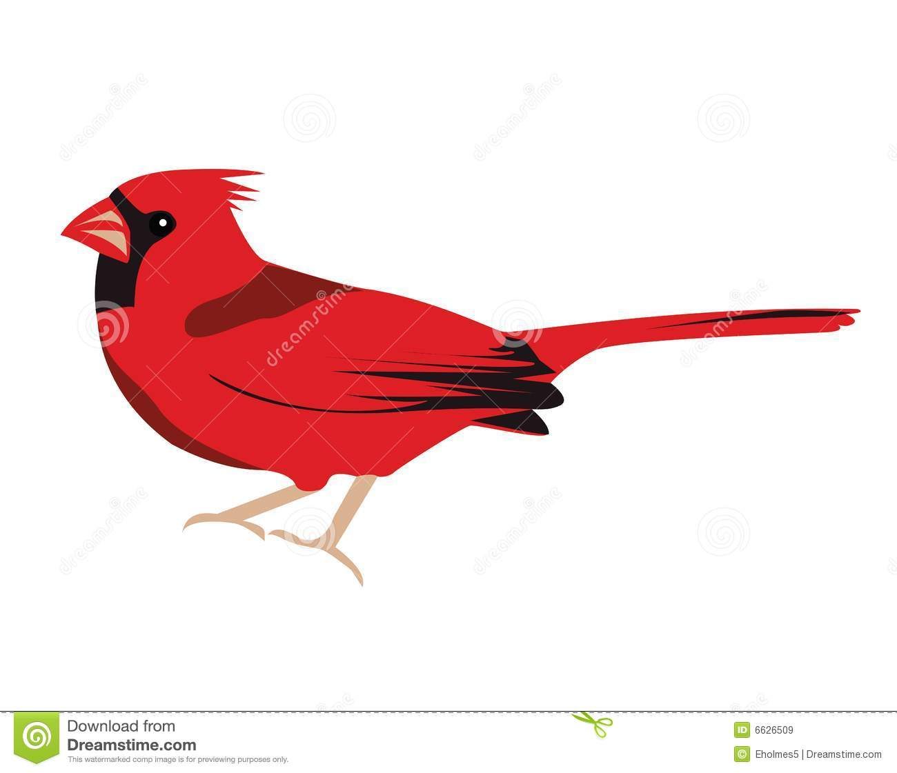 1300x1121 Cardinal Bird Clipart Collection