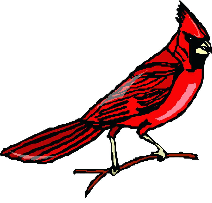 Cardinal Bird Clipart at GetDrawings | Free download