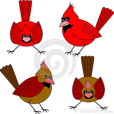400x401 Female Cardinal Clipart