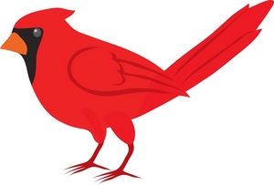 300x203 Red Cardinal Cartoon Clipart
