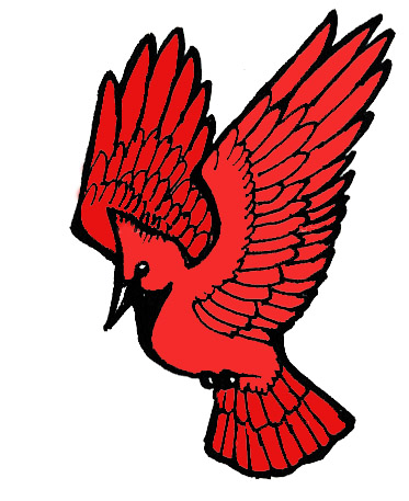 373x457 Cardinal Clipart Sketch
