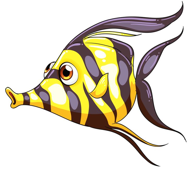 736x648 Butterflyfish Clipart Caricature
