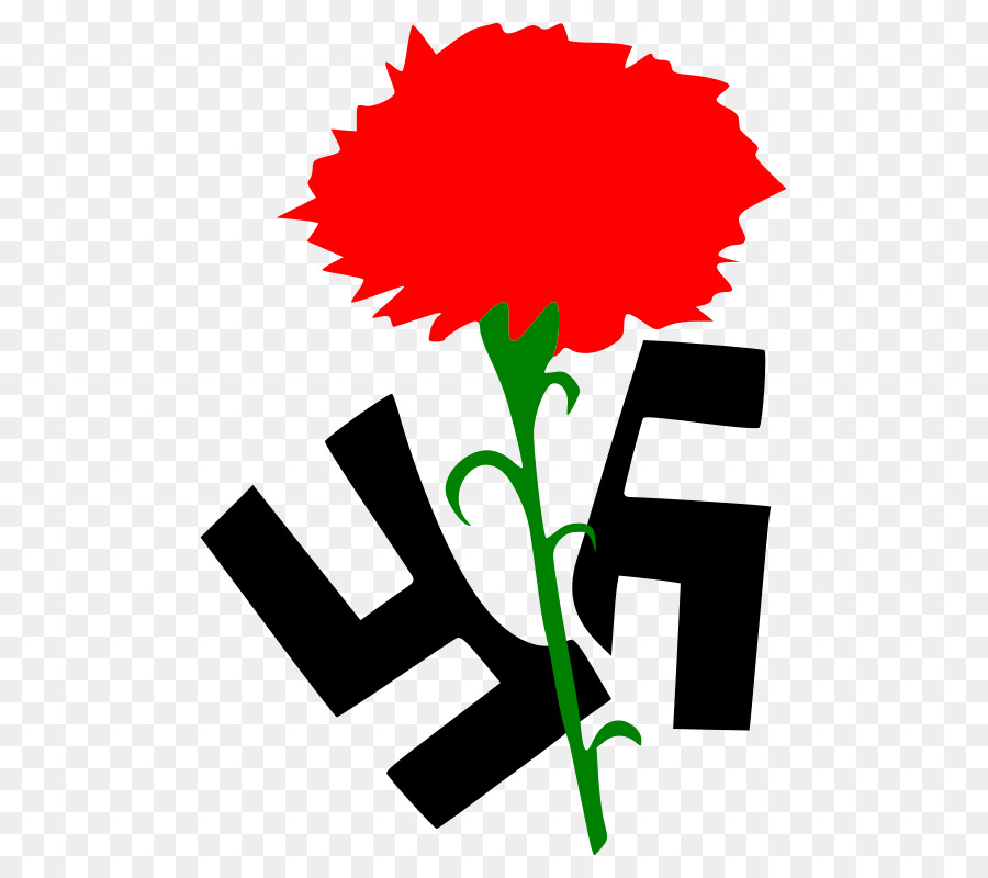 900x800 Carnation Clip Art