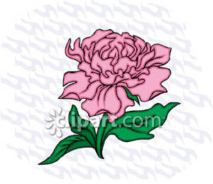 300x259 Peacocks Carnation Clipart