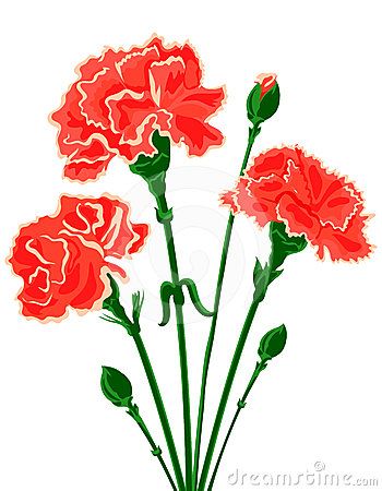 350x450 Red Carnation Clipart Carnation Flower Clip Axo Reunion