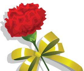 277x233 Carnation Flower Clip Art Free Vectors Ui Download