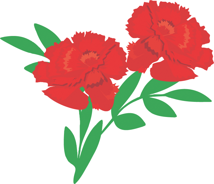 739x634 Httpallforchildren.rupicturesshowimgcarnationcarnation22jpg