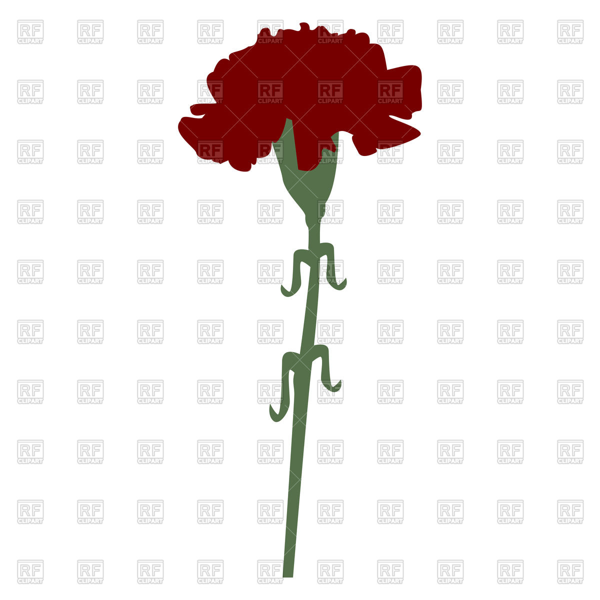 1200x1200 Carnation On White Background Royalty Free Vector Clip Art Image