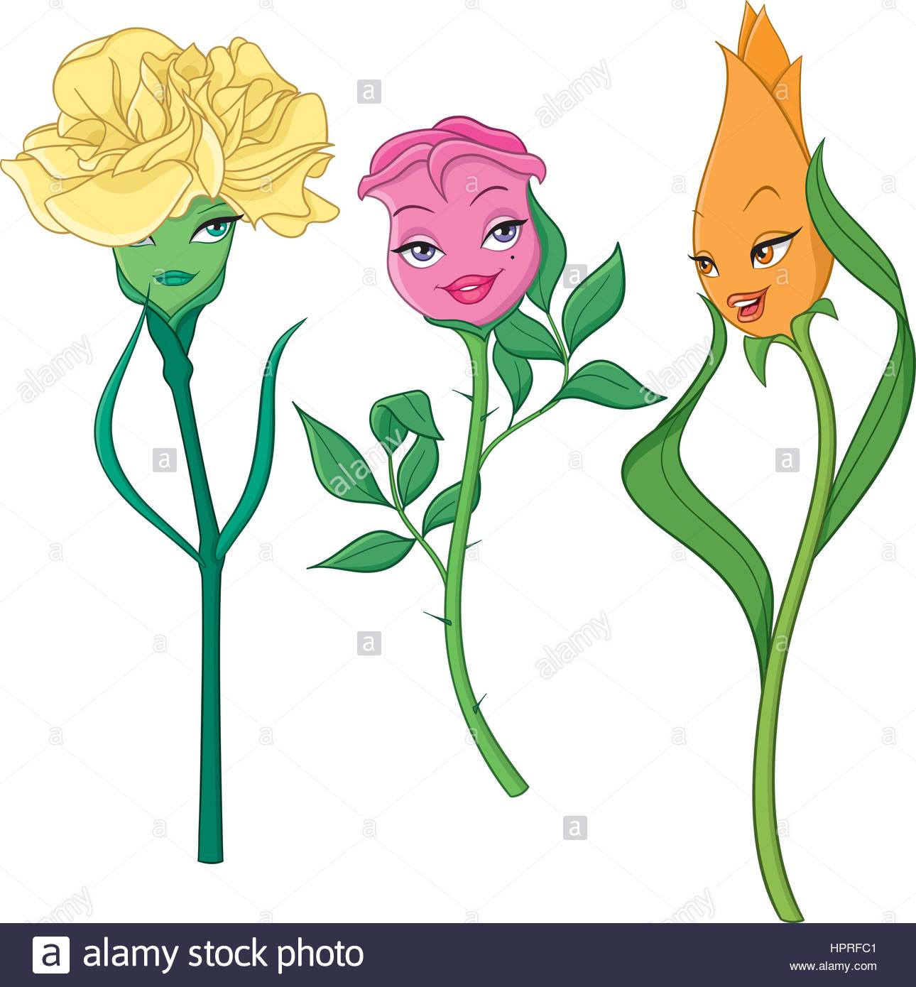 1290x1390 Carnation Stock Vector Images