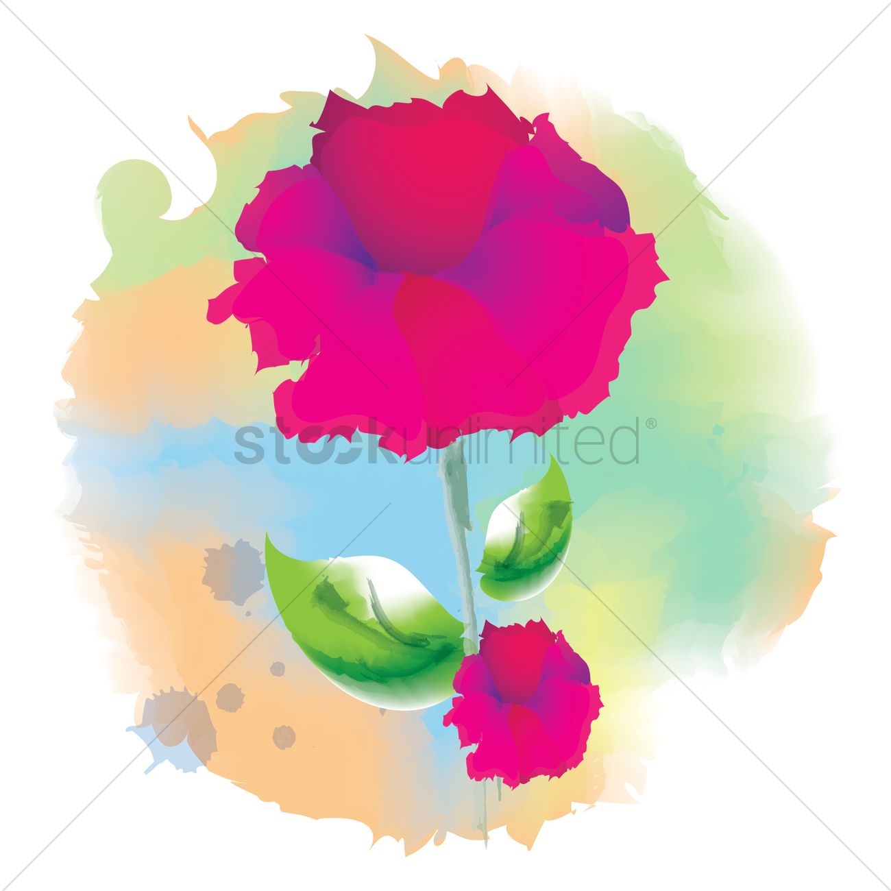1300x1300 Carnation Flower Vector Image