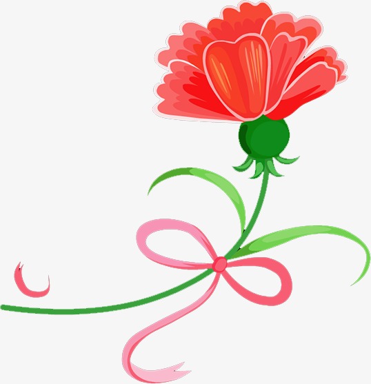 538x557 Carnations, Red, Flowers Png Image And Clipart For Free Download