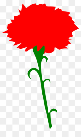260x440 Carnation Clip Art