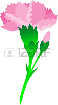 Carnation Flower Clipart at GetDrawings | Free download