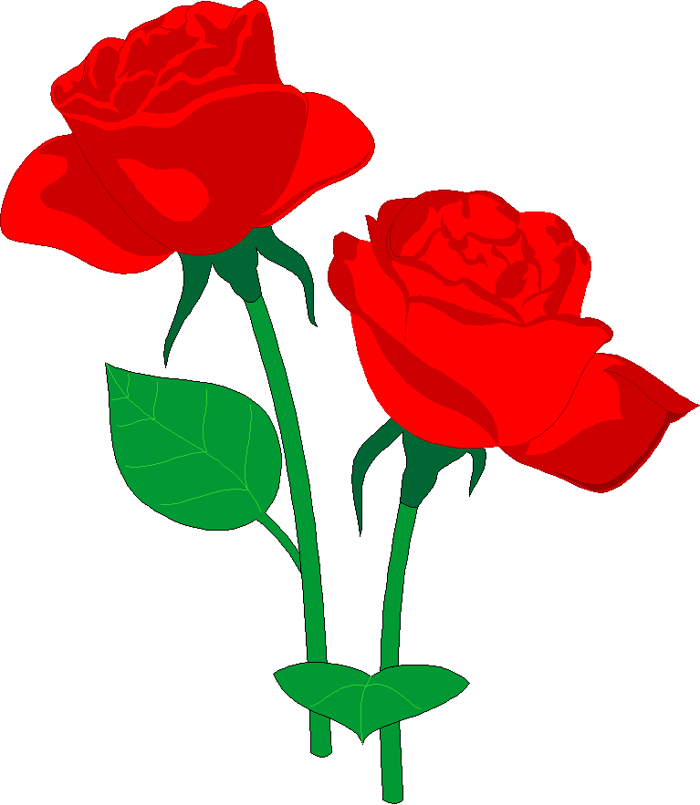 767x883 Red Carnation Clip Art Cliparts
