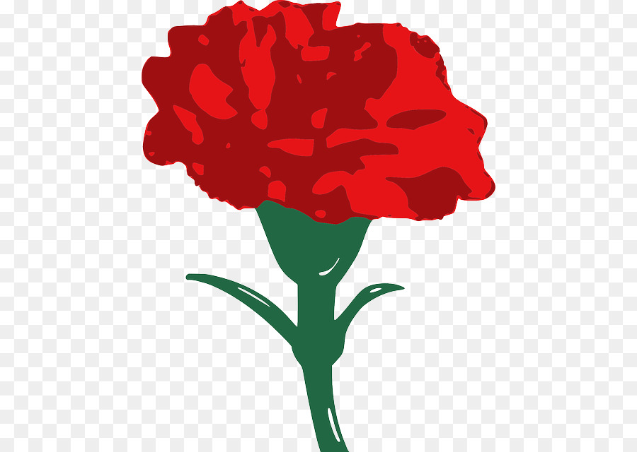 900x640 Carnation Clip Art