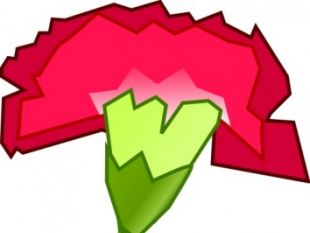 310x233 Carnation Flower Clip Art Free Vectors Ui Download
