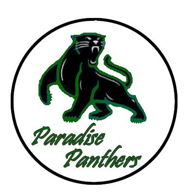 400x400 Cool Panther Clip Art Carolina