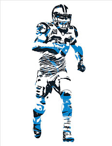 231x300 Carolina Panthers Art