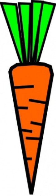 181x626 Carrot Clip Art